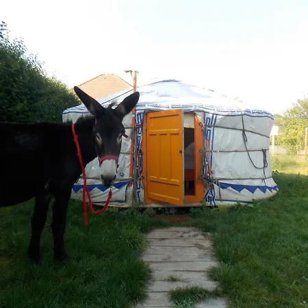 Luxuszelt Yourte Mongole