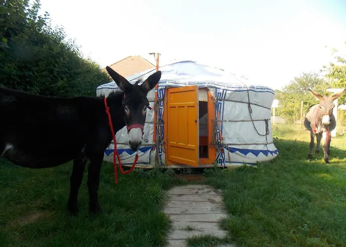 Campo de lujo Yourte Mongole